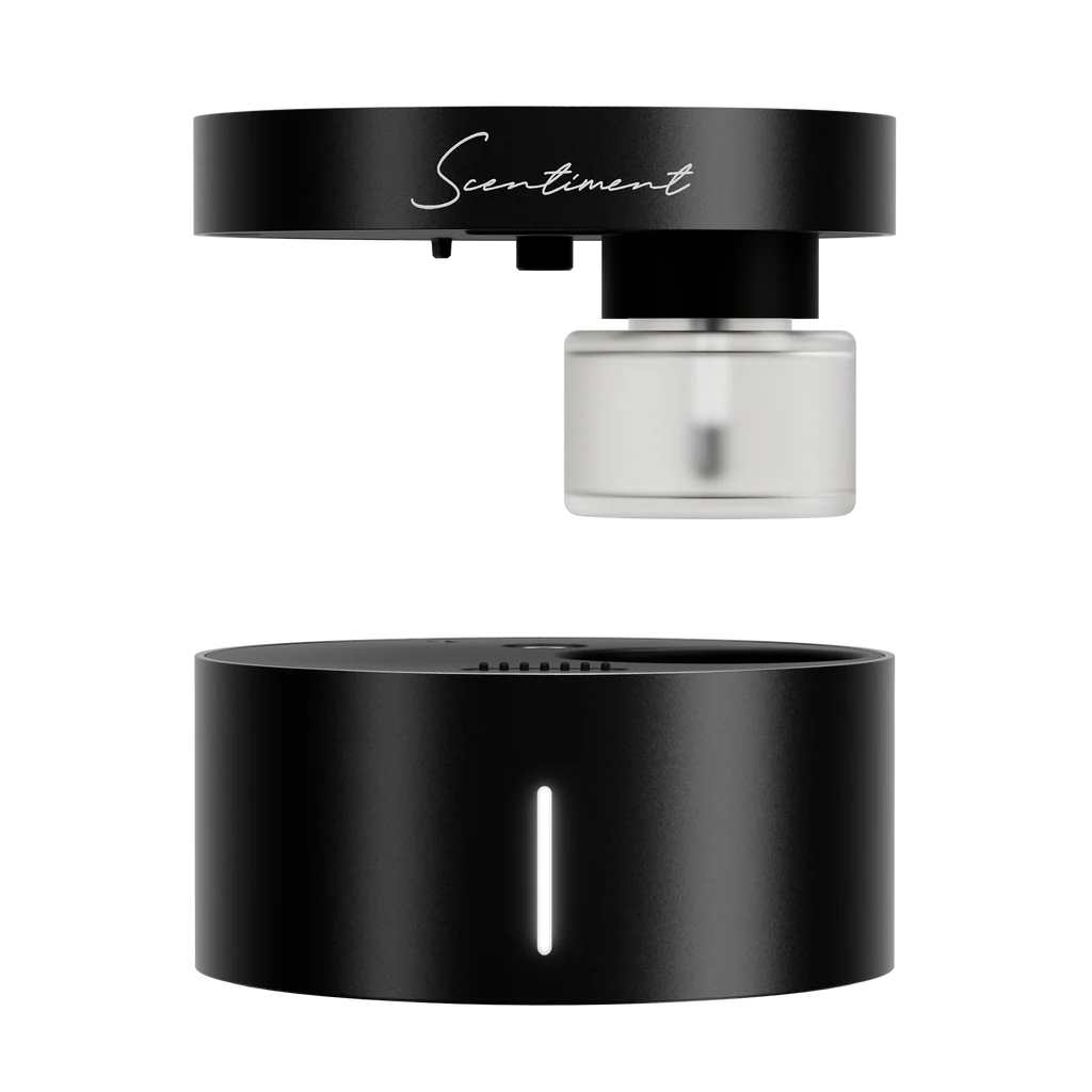 Saintiment Auto Diffuser Set