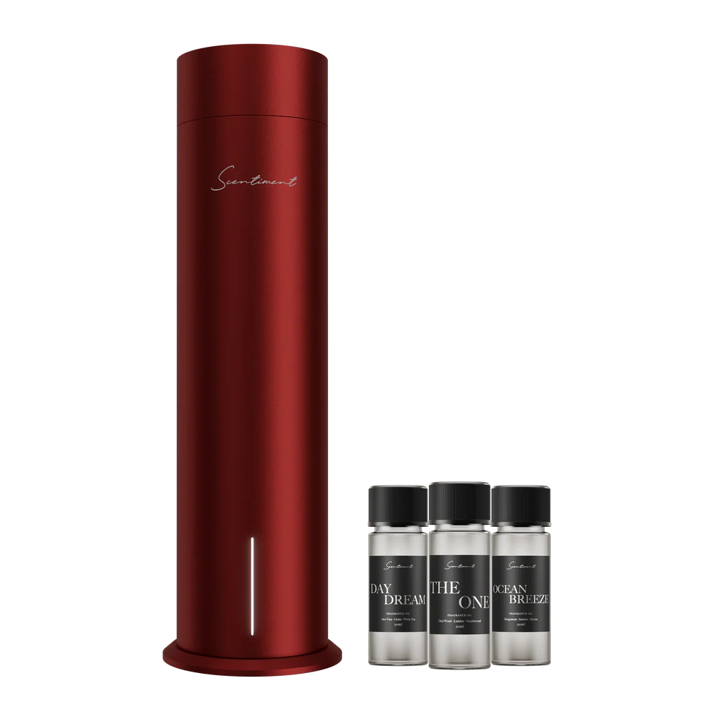 Saintiment Diffuser 2x Set